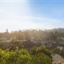Hollywood Hills Modern Vintage