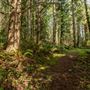 Azalea State Natural Reserve (SNR)