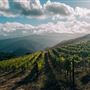 Holman Ranch