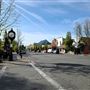 Mount Shasta City