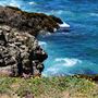 Fort Bragg