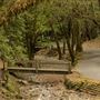 Armstrong Redwoods State Natural Reserve (SNR)