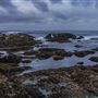 Asilomar State Beach and Conference Grounds