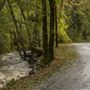Auburn State Recreation Area (SRA)