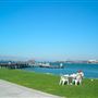 Coronado Ferry Landing Park and Beach