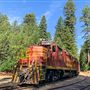 Skunk Train - California Western Railroad