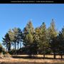 Cuyamaca Rancho State Park (SP), Lake Cuyamaca and Grand Valley Rapids