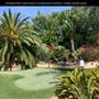 Enchanted Elfin Forest Home on 2 private acres