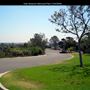 Kate Sessions Memorial Park