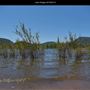 Lake Hodges