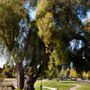 Moorpark