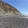 Torrey Pines State Beach (SB)