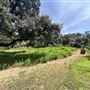 Lummis Home and Gardens