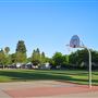 Baroni Park