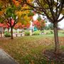 Emerson Park