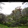 Presidio Park