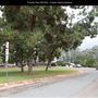 Presidio Park