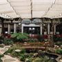 Yamashiro Hollywood - Historic Restaurant, Hotel & Gardens