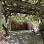 Mediterranean Grove House