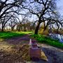 Bidwell-Sacramento River State Park (SP)