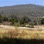 Cuyamaca Rancho State Park (SP), Lake Cuyamaca and Grand Valley Rapids