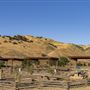 Carnegie State Vehicular Recreation Area (SVRA)