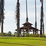 California Citrus State Historic Park (SHP)