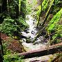 Armstrong Redwoods State Natural Reserve (SNR)