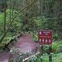Armstrong Redwoods State Natural Reserve (SNR)