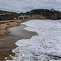 Crystal Cove State Park (SP)