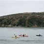 Bodega Bay