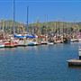 Bodega Bay