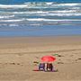 Bodega Head / Dunes (Sonoma Coast State Beach)