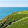 Bodega Head / Dunes (Sonoma Coast State Beach)