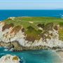 Bodega Head / Dunes (Sonoma Coast State Beach)