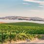 Cline Cellars