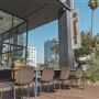 Toastique on Sunset
