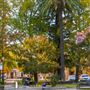 Healdsburg