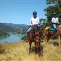 Lake Sonoma