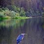 Russian River