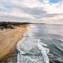 Salmon Creek Beach (Sonoma Coast State Park)