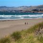 Salmon Creek Beach (Sonoma Coast State Park)
