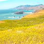 Sonoma Coast State Park (SP)