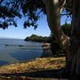 China Camp State Park (SP)