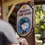 Knott's Berry Farm & Knott's California Marketplace