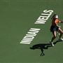 Indian Wells Tennis Garden