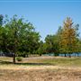 Prado Regional Park