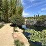 Japanese Gardens @ Donald C. Tillman Water Reclamation Plant
