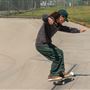 Pedlow Field Skate Park