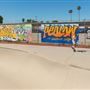 Pedlow Field Skate Park